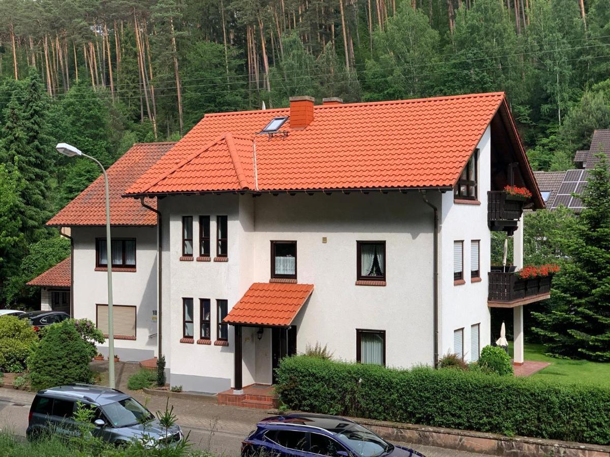 Ferienwohnungen Im Herzen Des Pfaelzerwaldes Elmstein Exterior photo
