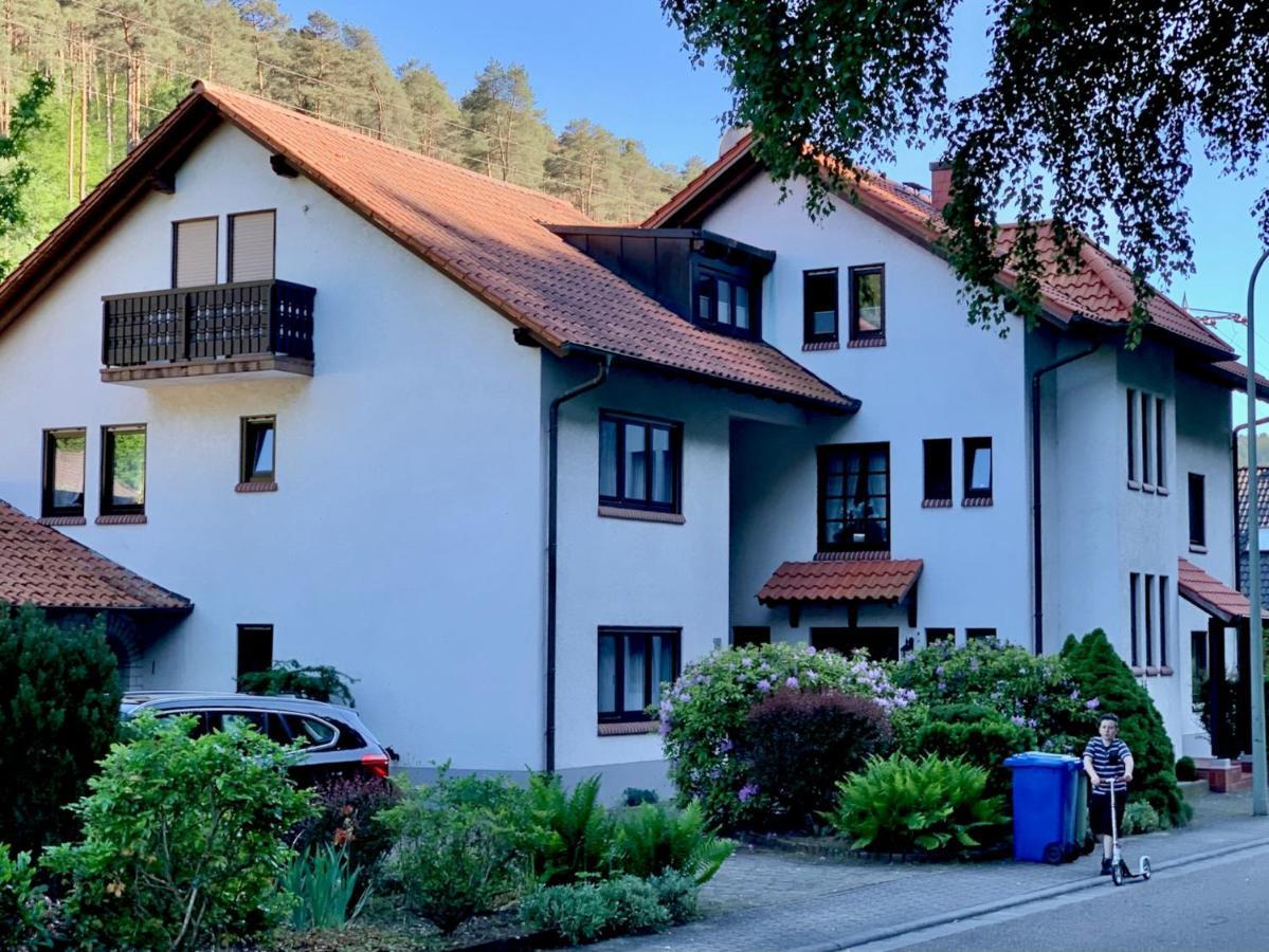 Ferienwohnungen Im Herzen Des Pfaelzerwaldes Elmstein Exterior photo